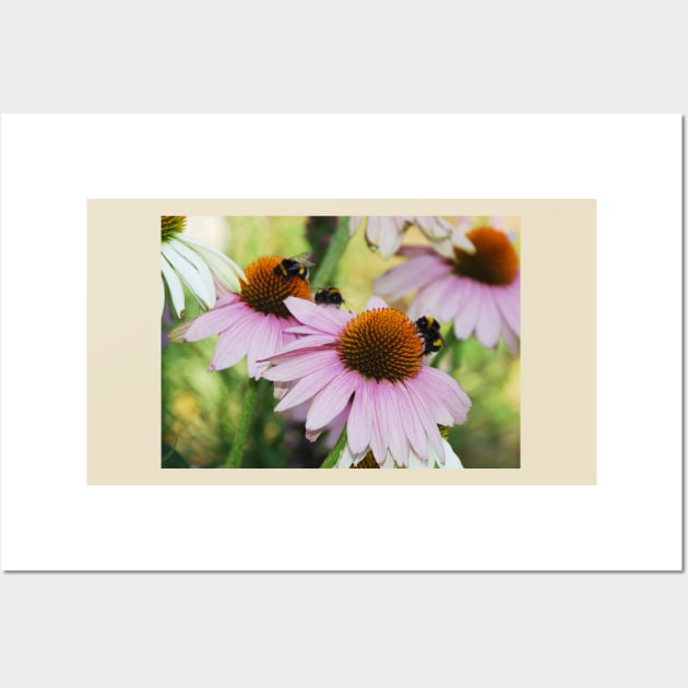 Echinacea Purpurea with Bees Wall Art by jojobob